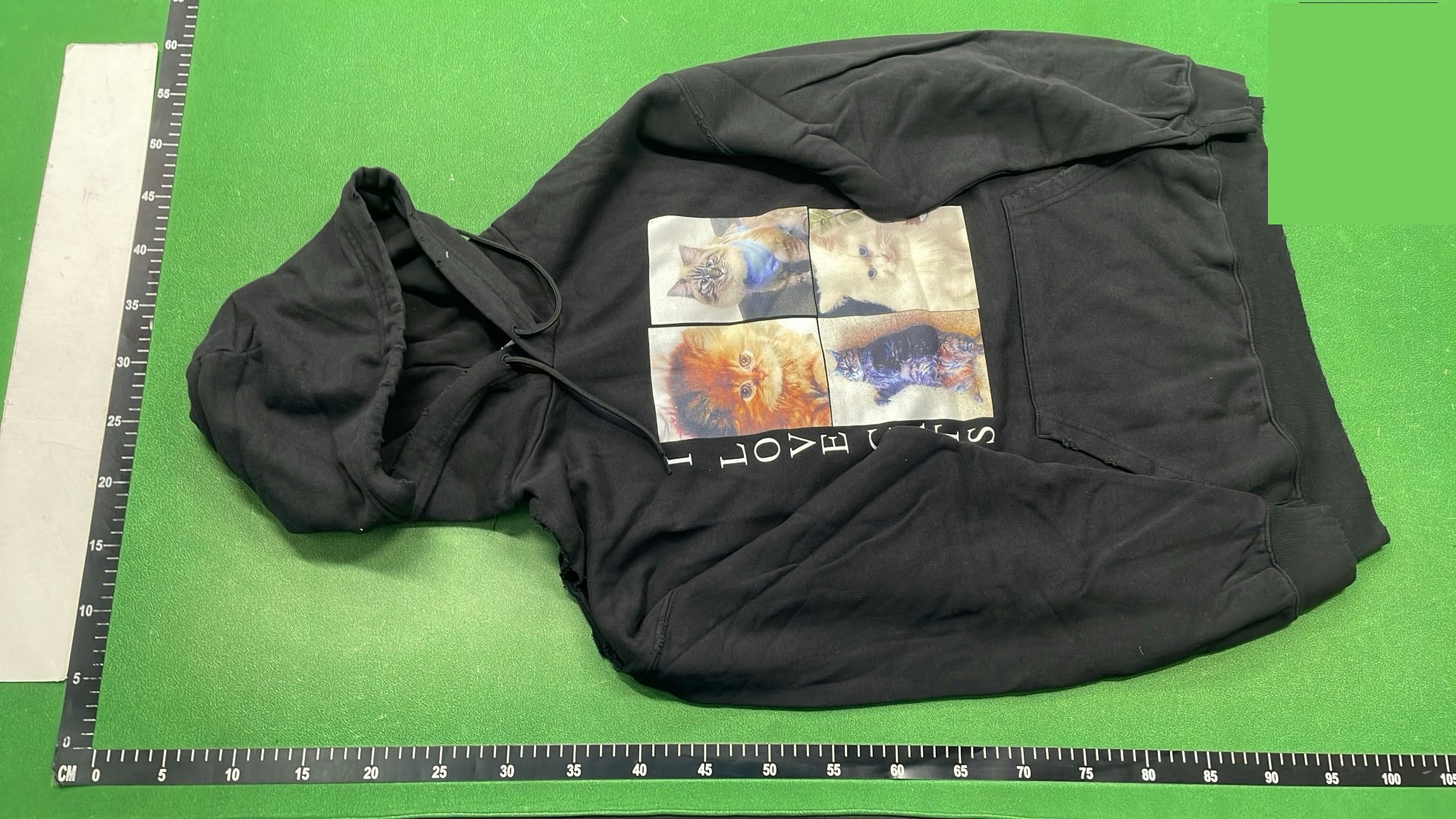 Balenciaga I Love Cats Cotton Hoodie QC