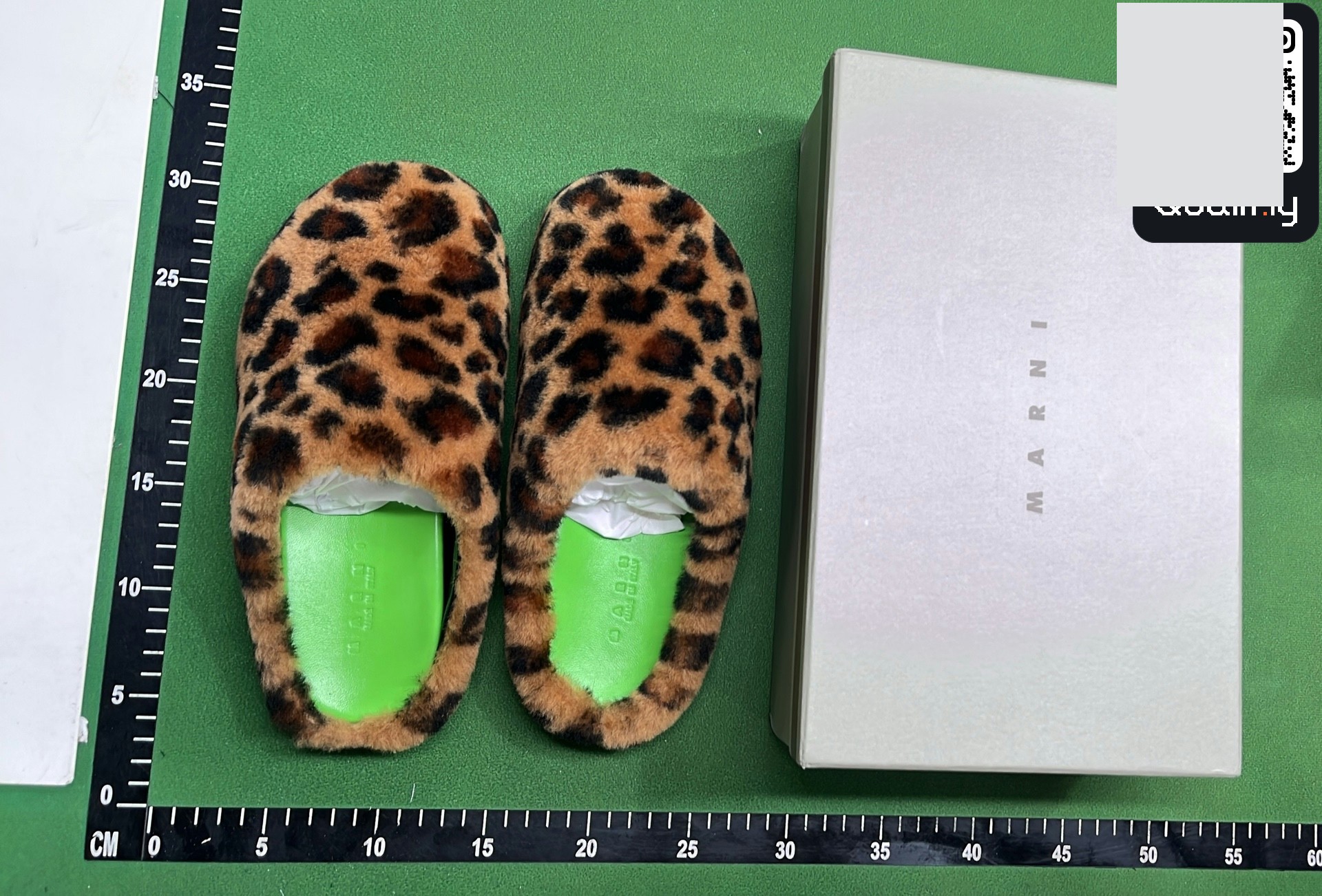 Marni Mules QC