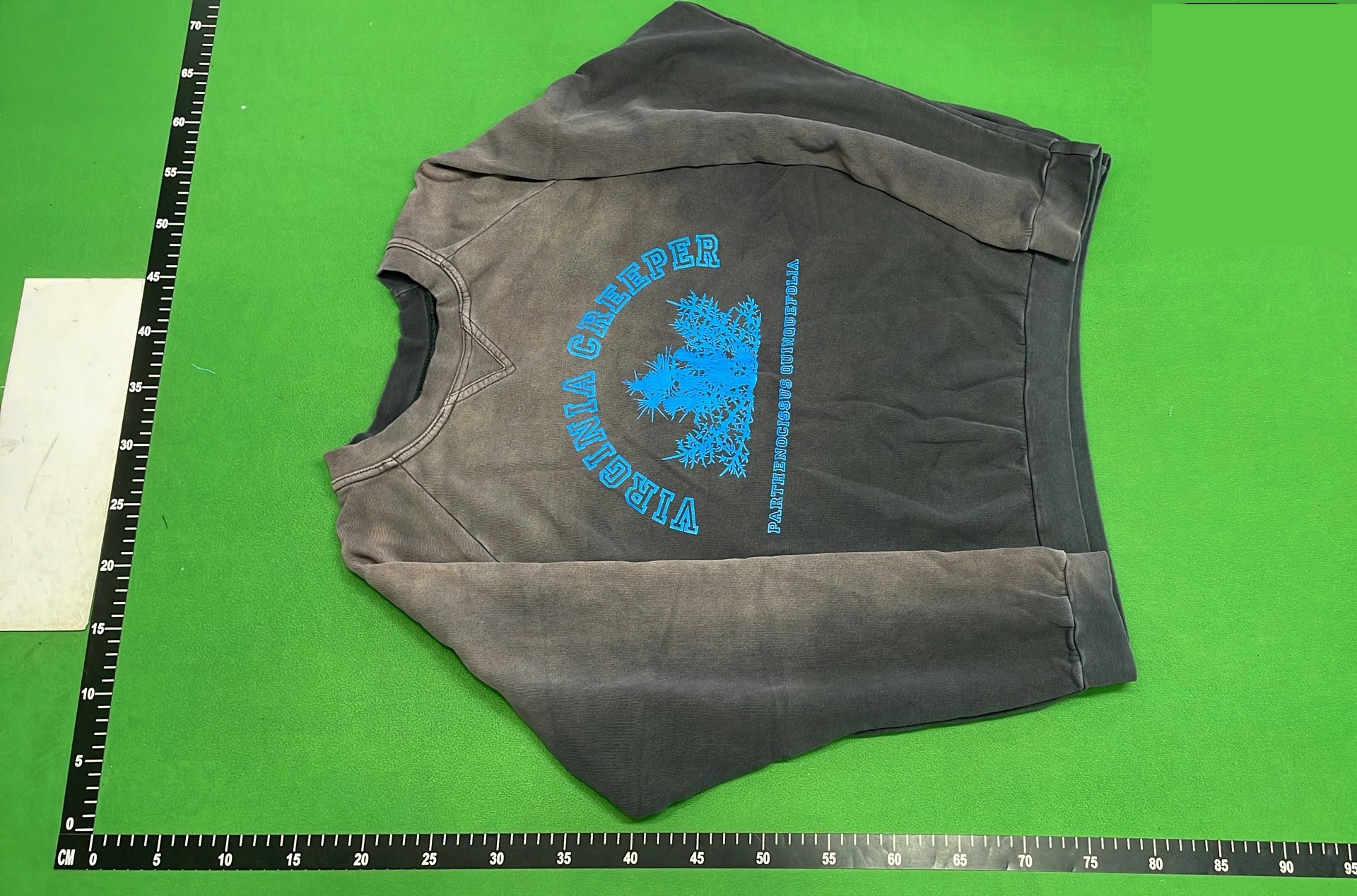 Raf Simons Virginia Creeper Crewneck QC