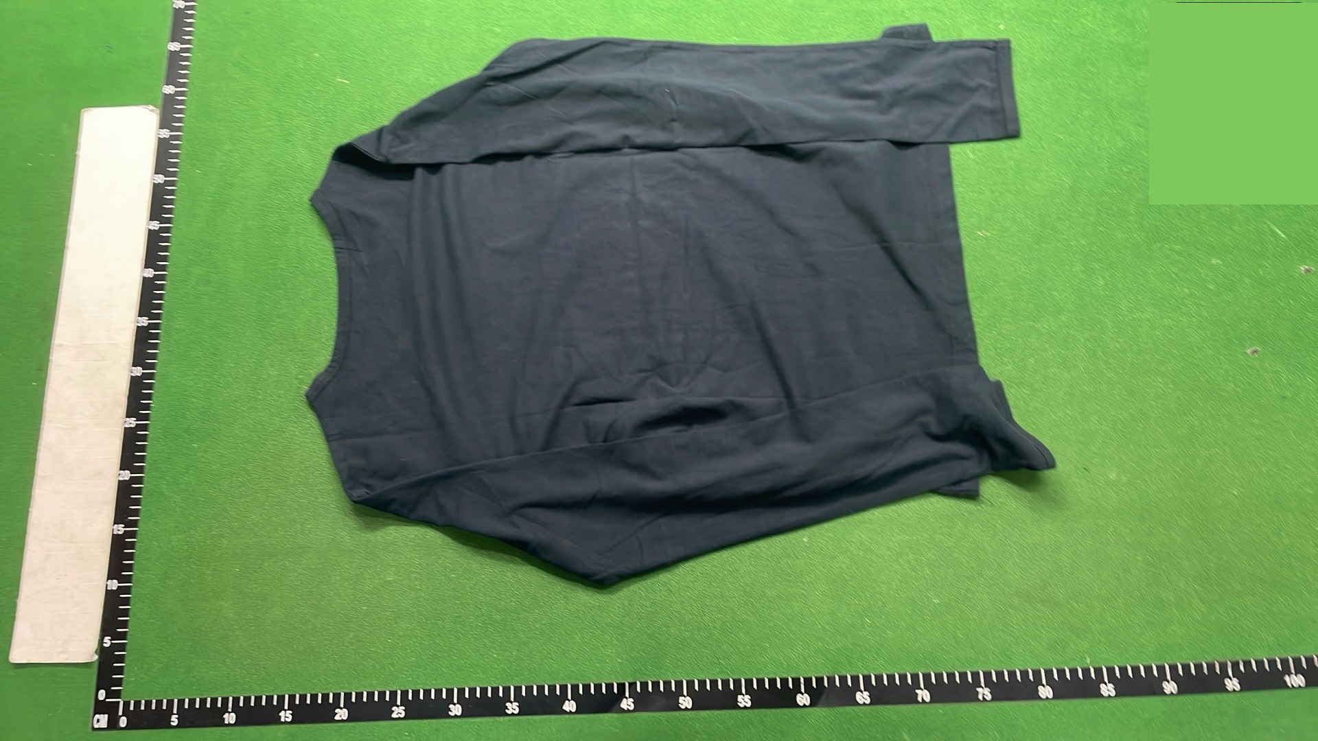 Raf Simons Virginia Creeper Long Sleeve QC
