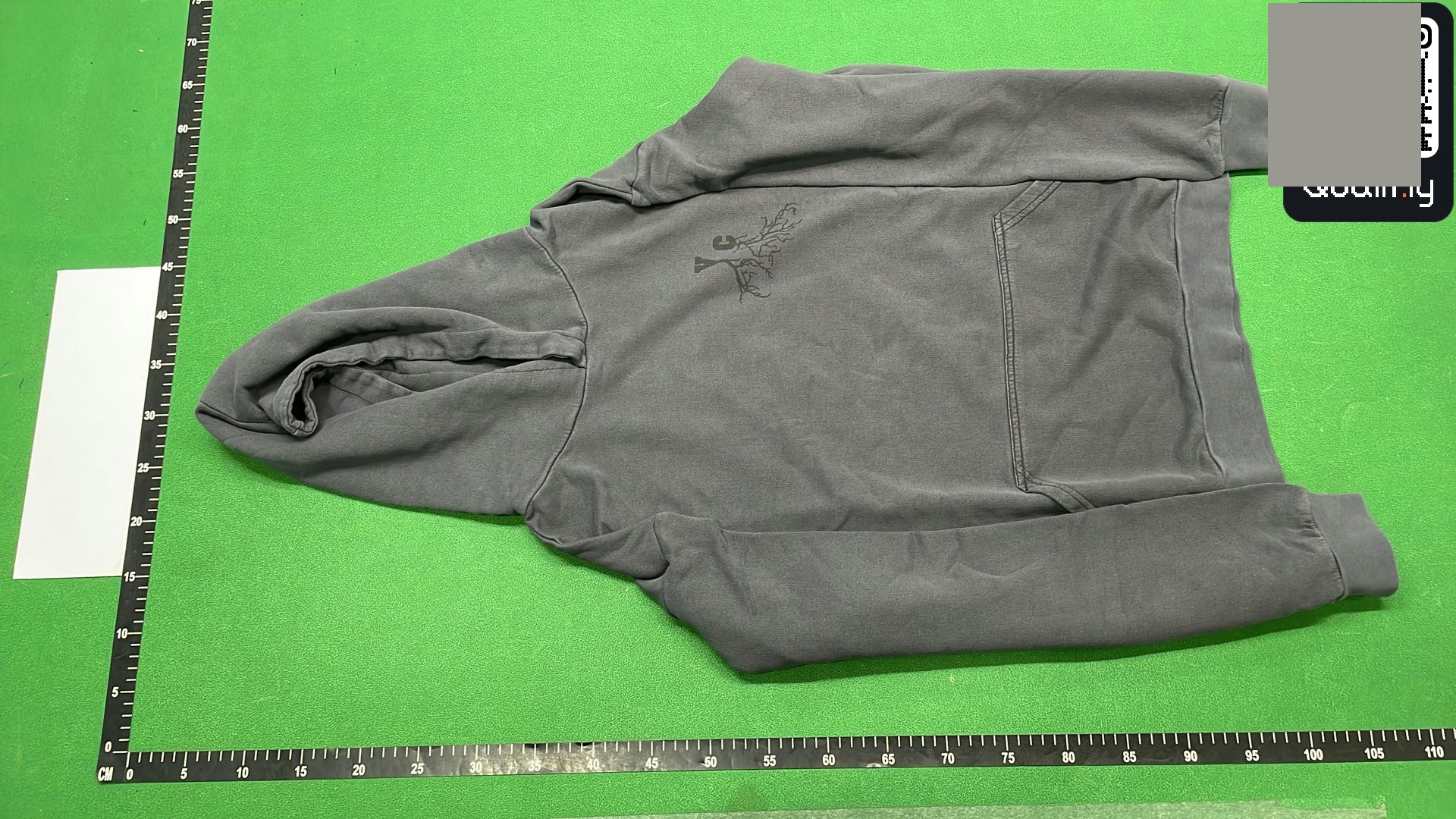 Raf Simons Virginia Creeper Roots Hoodie QC