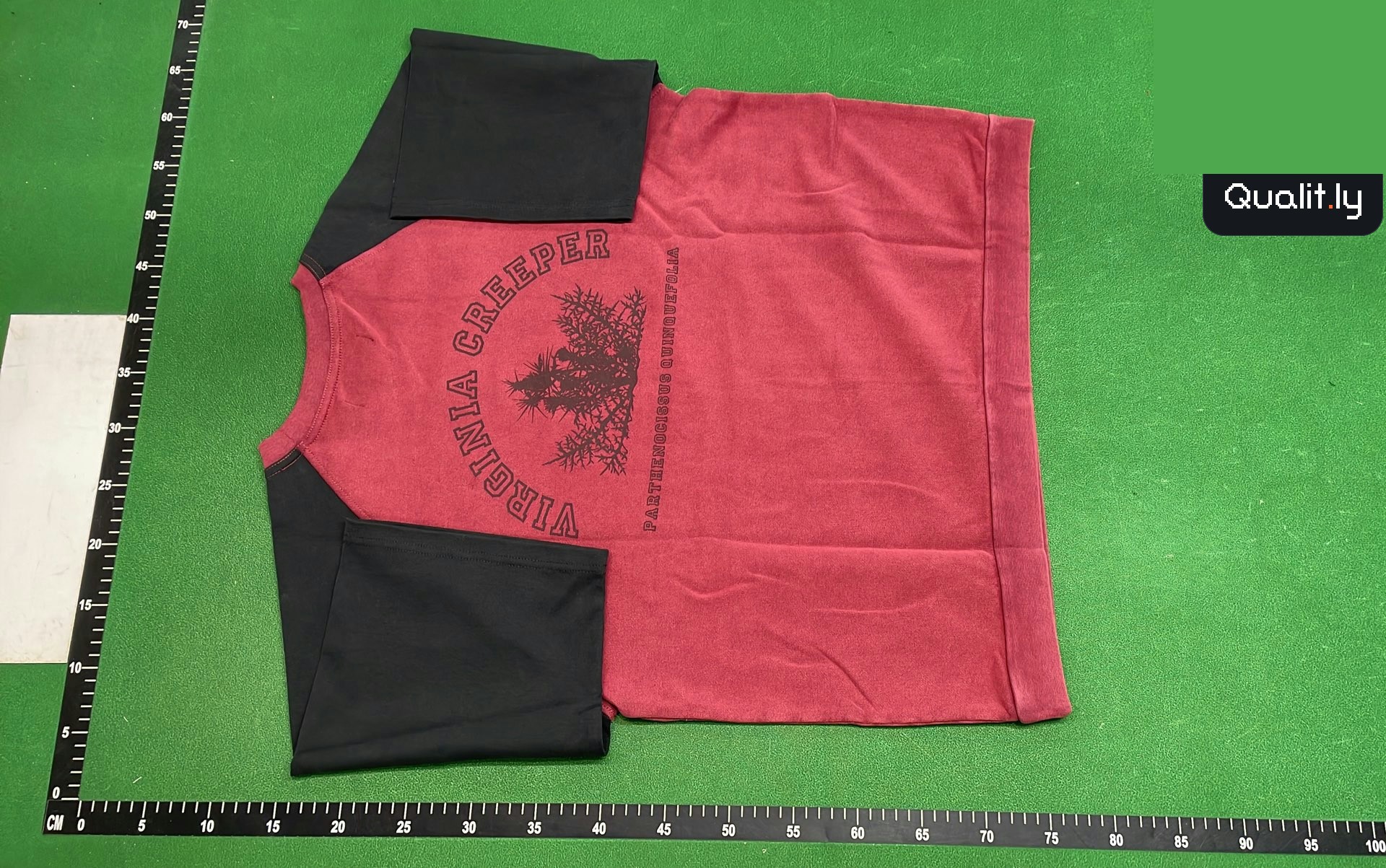 Raf Simons Virginia Creeper Tee QC