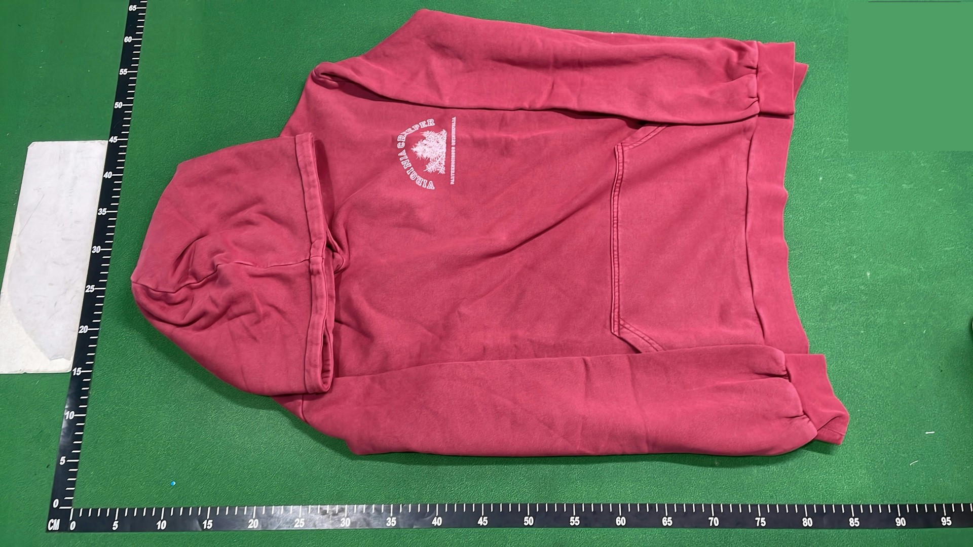 Raf Simons Virginia Creeper Hoodie QC